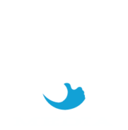 top logo
